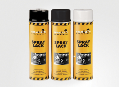 AEROSOOL VALGE LÄIKIV 500ML